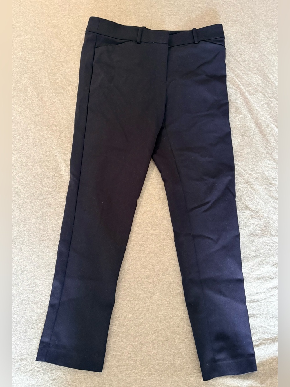 Ann Taylor Loft Marisa Pants Womens 6 Navy Blue Pants Workwear preppy city cute